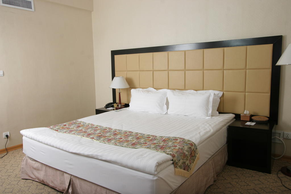 Ulaanbaatar Hostel Pokoj fotografie